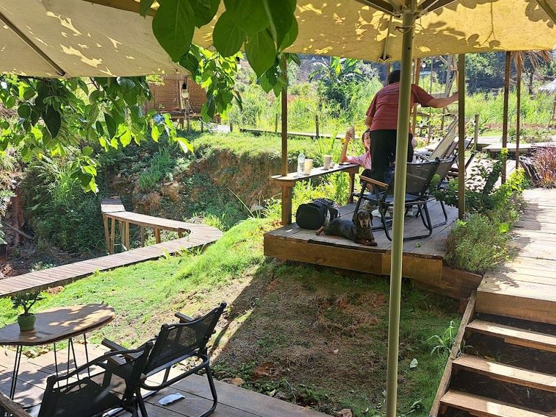 Bao tiền một mớ bình yên
