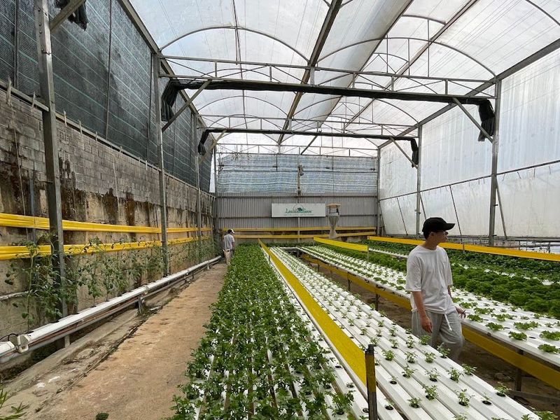 Công Ty TNHH Trang Trại Langbiang