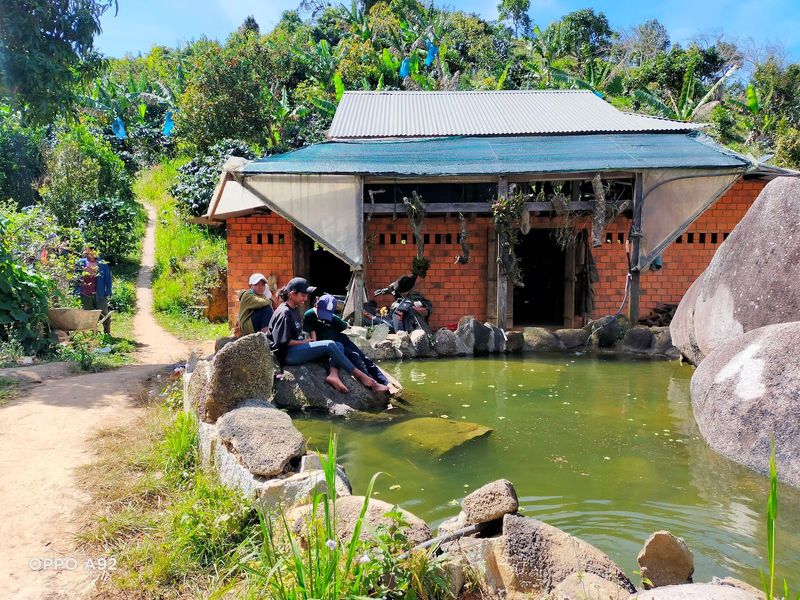 Đồi 1600 - Sử Cafe Dran