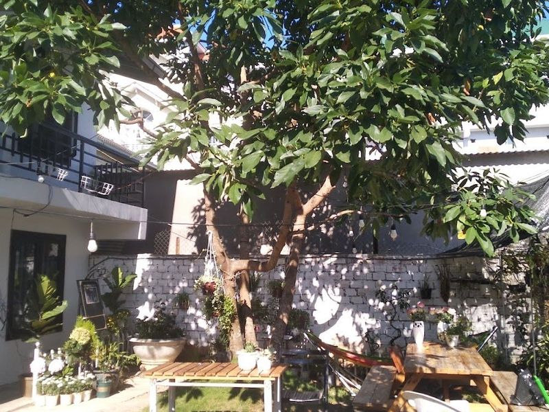 La Maison - Homestay Đà Lạt