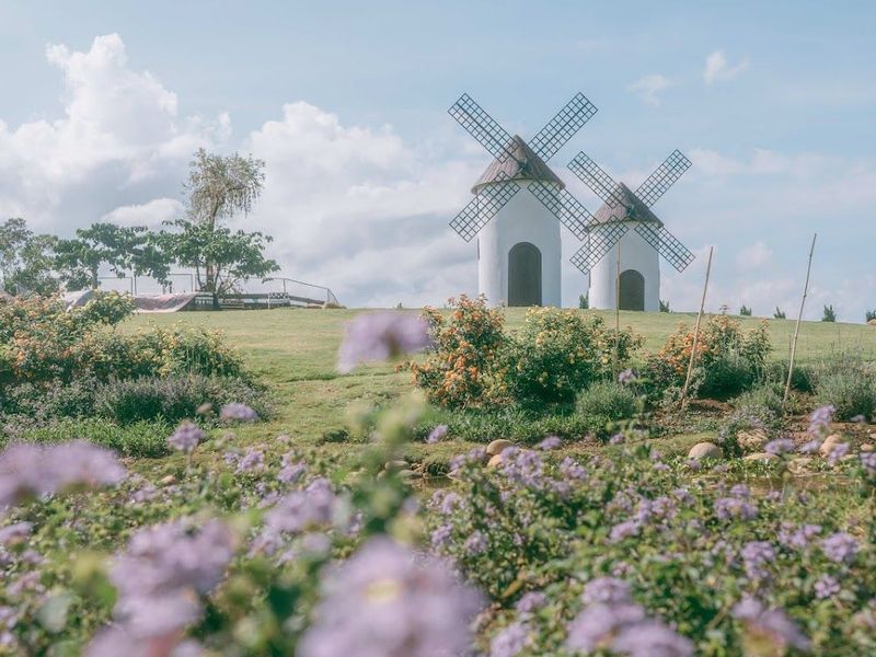Mongo Land - Đà Lạt