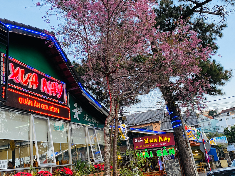 Nhà hàng Xưa & Nay