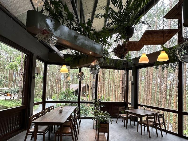 Rừng Thông Mơ Farm & Bistro