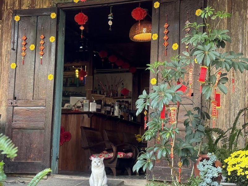 Thềm Nhà Có Hoa