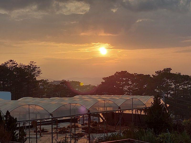 Thung Lũng Đèn Coffee - BBQ