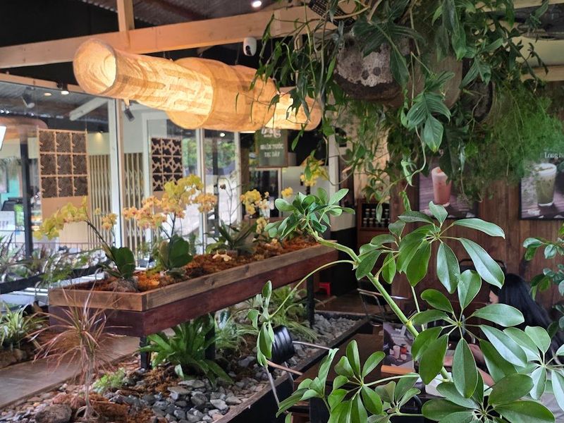 Trông Trại Trà - Trông Cafe