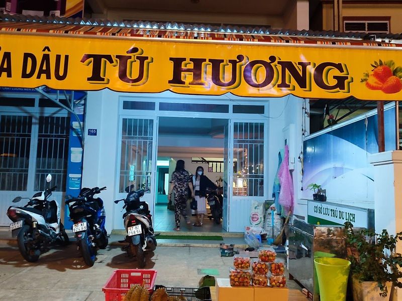 Vựa Dâu Tây Tú Hương